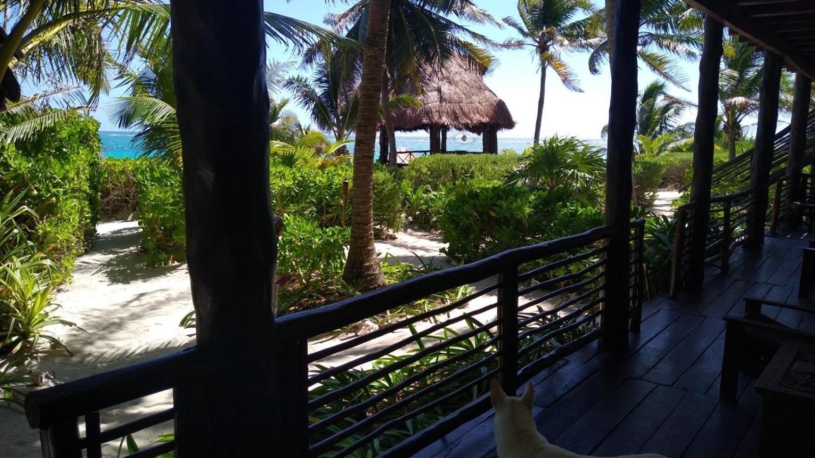 Sol Caribe Punta Allen Exterior foto
